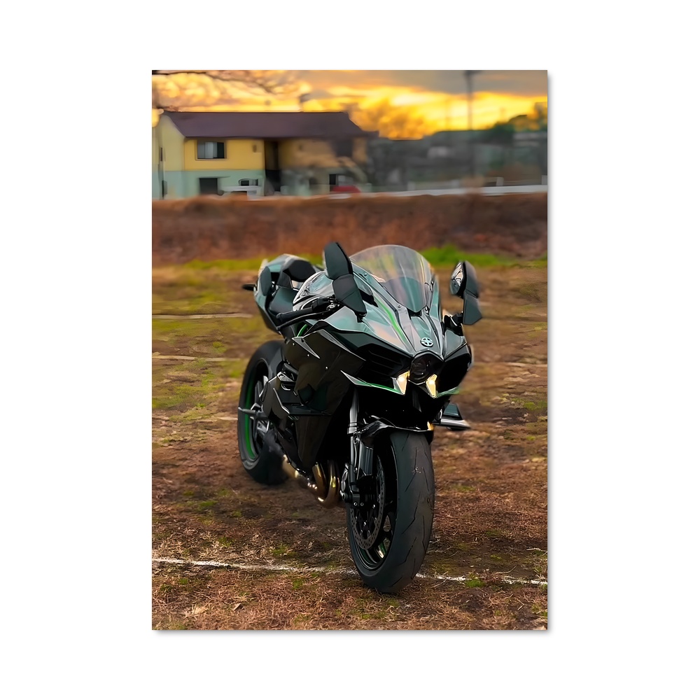 Poster incroyable Ninja h sx
